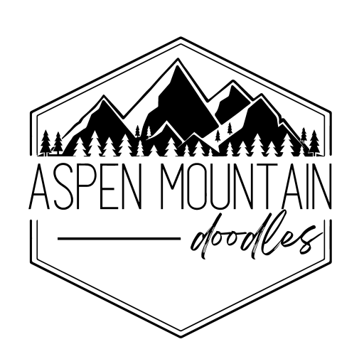 Aspen Mountain Doodles